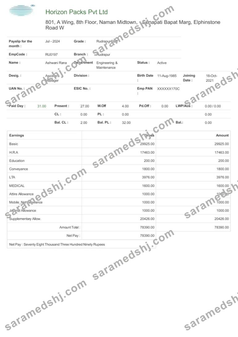 Horizon Packs payslip template in Word and PDF formats.pdf, 1